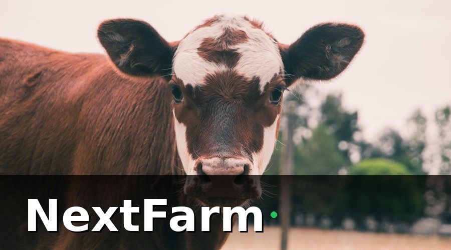 NextFarm — Tại sao trang trại bò sữa cần số hóa ngay bây giờ?