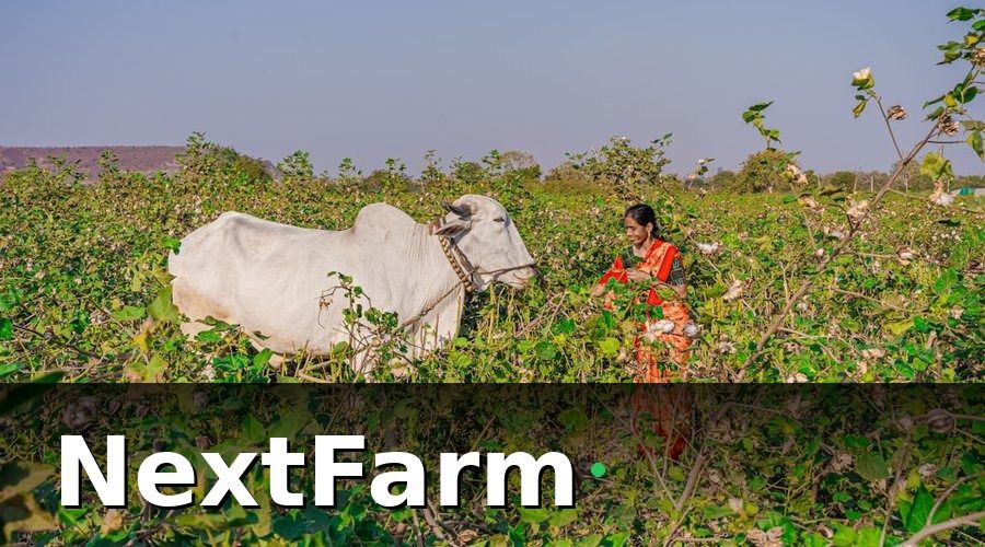 NextFarm — Bài học 2 — Con người quan trọng hơn công nghệ
