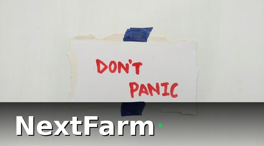 NextFarm — Những sai lầm phổ biến khi số hóa trang trại bò thịt