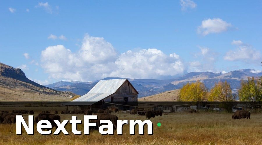 NextFarm — Bài học số 2: IoT cảm biến — triển khai đúng chỗ mới hiệu quả