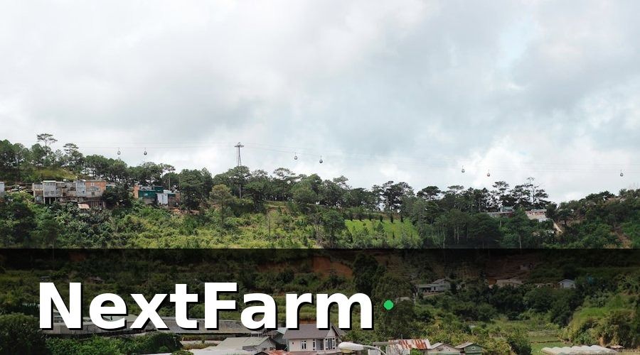 NextFarm — Tại sao số hóa vườn cà phê lại khó hơn các loại cây khác?