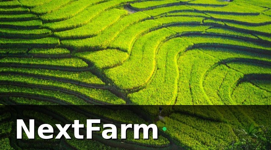 NextFarm — Bài học 2 — Phân lô bản đồ trước khi làm bất cứ điều gì