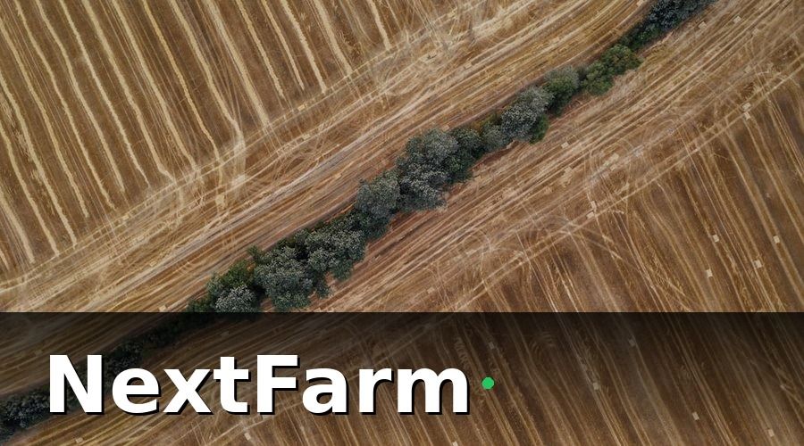 NextFarm — Vì sao vườn cây ăn quả cần số hóa ngay bây giờ?