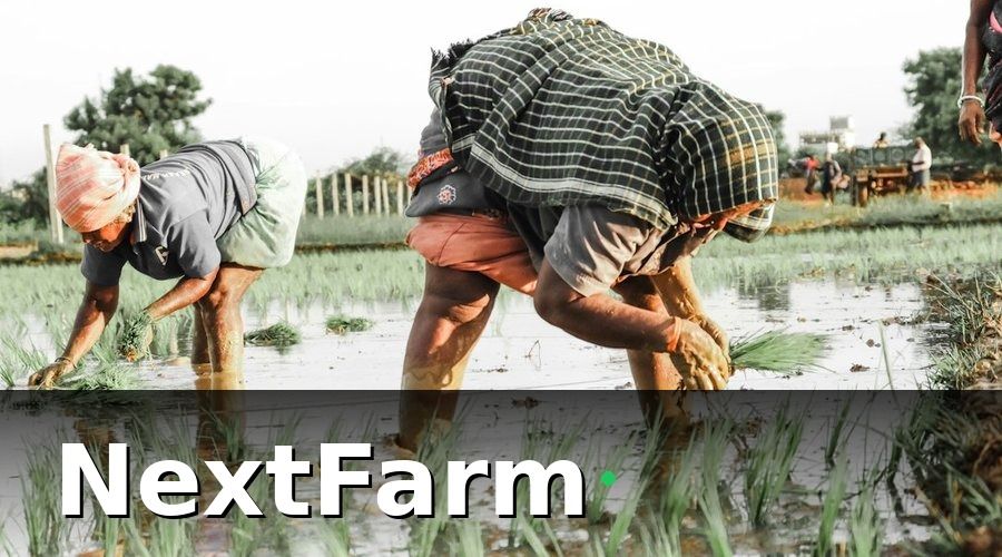 NextFarm — Tại sao KPI blockchain nông sản cần được theo dõi hàng ngày