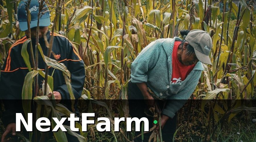 NextFarm — Cách thiết lập dashboard theo dõi KPI