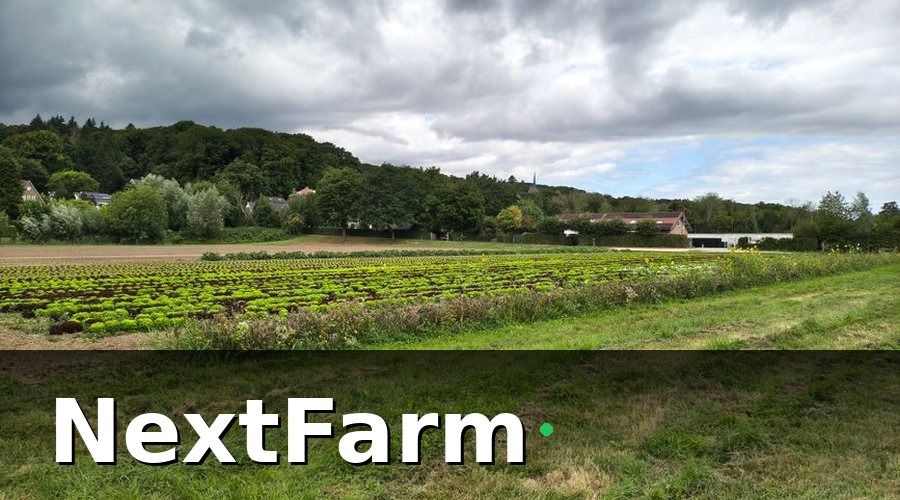 NextFarm — Tại sao cần KPI khi dùng cảm biến đất
