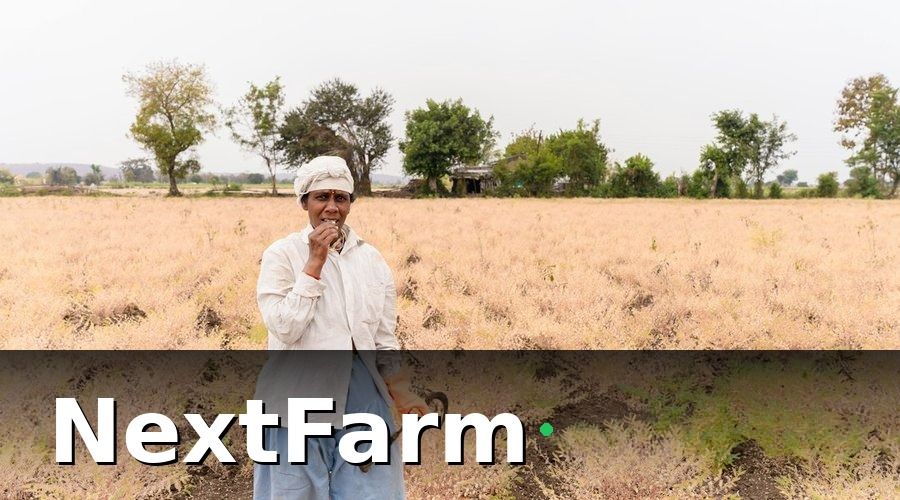 NextFarm — 6 KPI quan trọng cần theo dõi hàng ngày