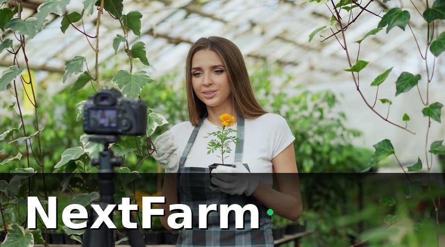 NextFarm — Nhóm KPI Hàng Tuần — Kiểm Soát Chất Lượng Tổng Thể