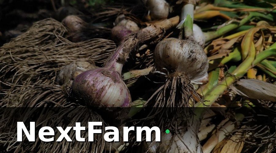 NextFarm — Tại sao nông trại hữu cơ cần KPI riêng?