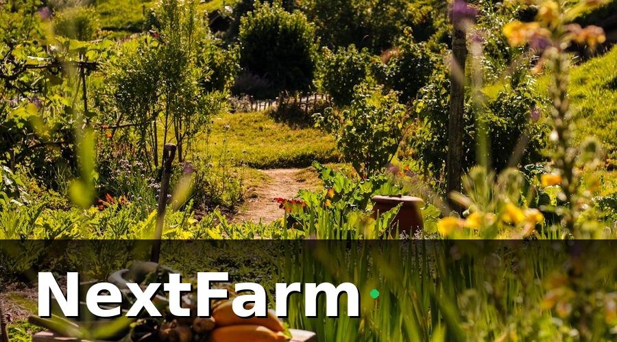 NextFarm — Nhóm 2: KPI năng suất và chất lượng sản phẩm