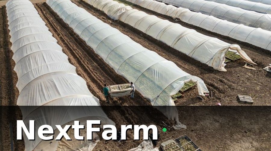 NextFarm — Tại sao KPI IoT quan trọng hơn dữ liệu thô?