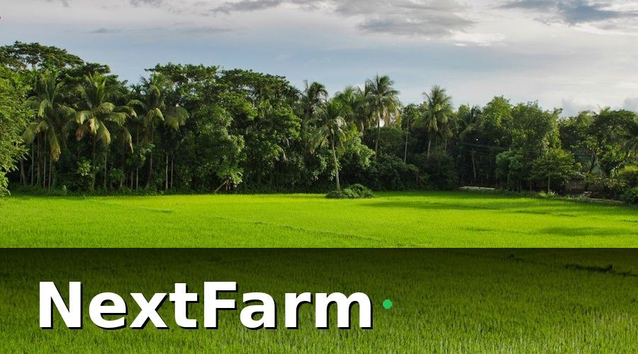 NextFarm — KPI là gì trong canh tác lúa nước?