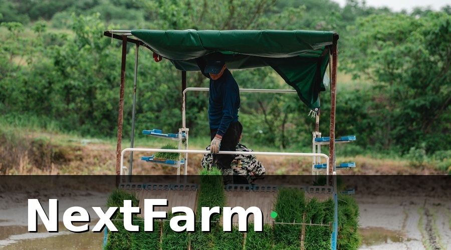 NextFarm — Nhóm 2 — KPI về sinh trưởng cây lúa