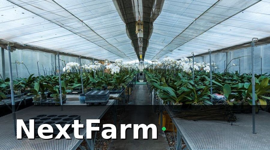 NextFarm — Tại sao KPI là xương sống của nhà kính công nghệ cao?