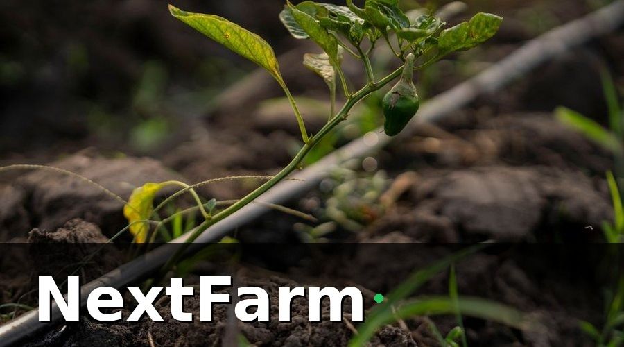 NextFarm — Nhóm KPI môi trường — theo dõi liên tục 24/7