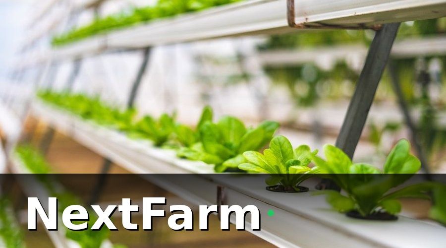 NextFarm — Nhóm KPI hệ thống tưới và dinh dưỡng