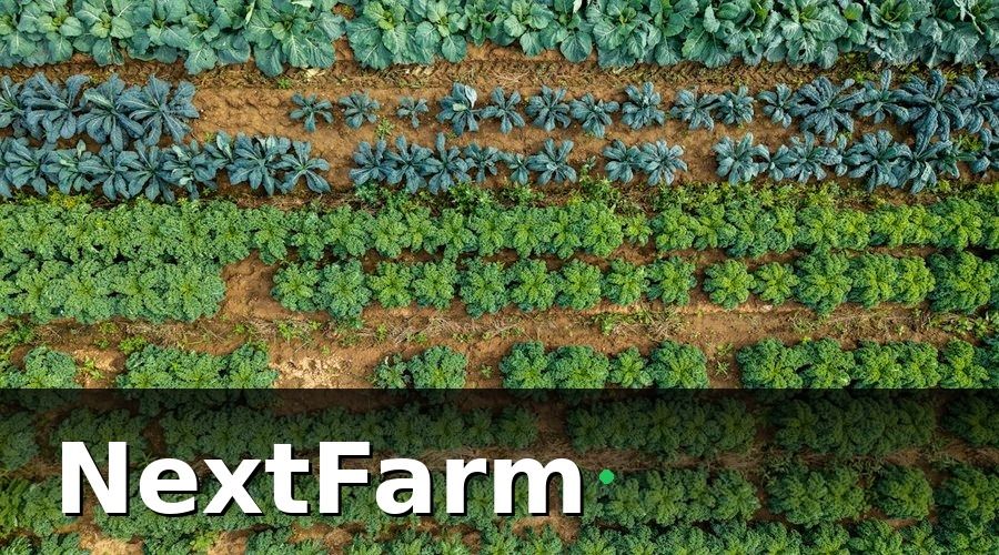 NextFarm — Tại sao nông trại nhỏ cần KPI riêng?