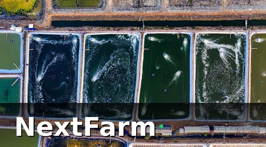 NextFarm — KPI nuôi cá là gì và tại sao cần theo dõi hàng ngày?
