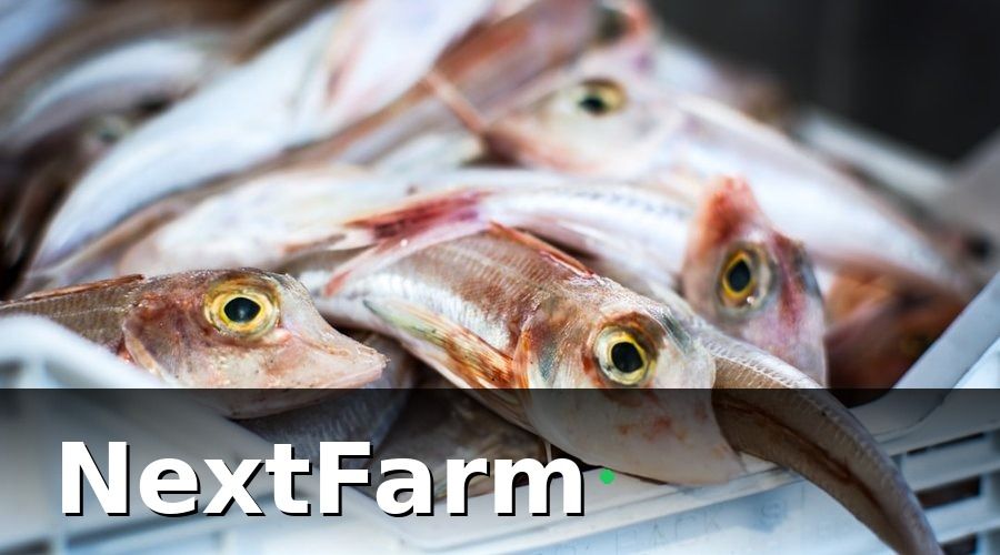 NextFarm — Nhóm 2: KPI tăng trưởng và sức khỏe cá