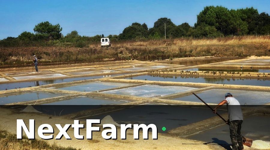 NextFarm — KPI nuôi tôm là gì và tại sao cần theo dõi hàng ngày?