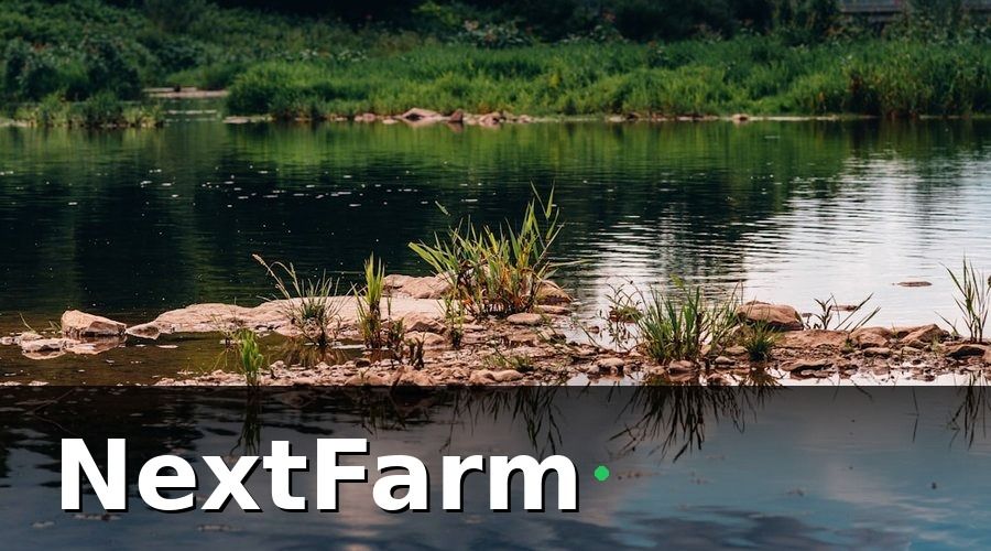 NextFarm — Nhóm 1: KPI môi trường ao — nền tảng của vụ nuôi thành công