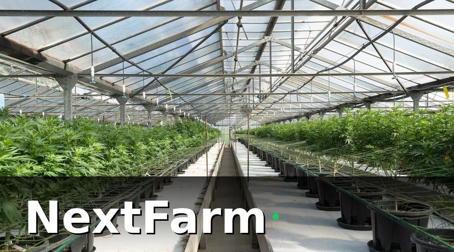NextFarm — KPI thủy canh là gì và tại sao chúng quan trọng hơn cảm tính?