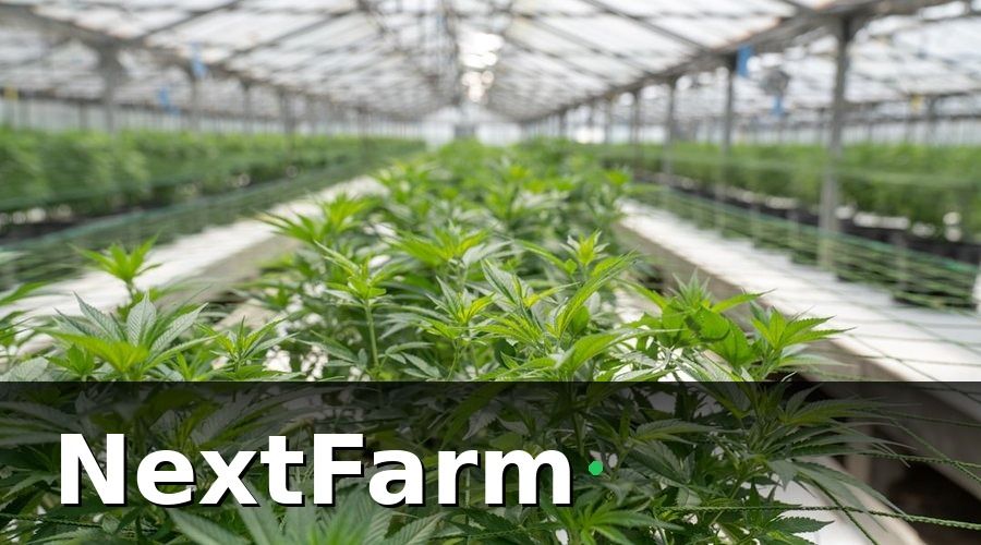 NextFarm — Nhóm KPI môi trường — theo dõi tối thiểu 2 lần/ngày