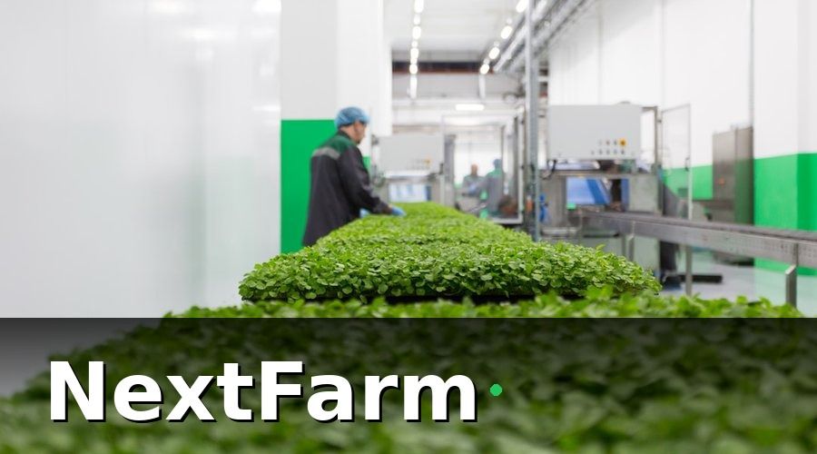 NextFarm — KPI thủy canh là gì và tại sao cần theo dõi hàng ngày?