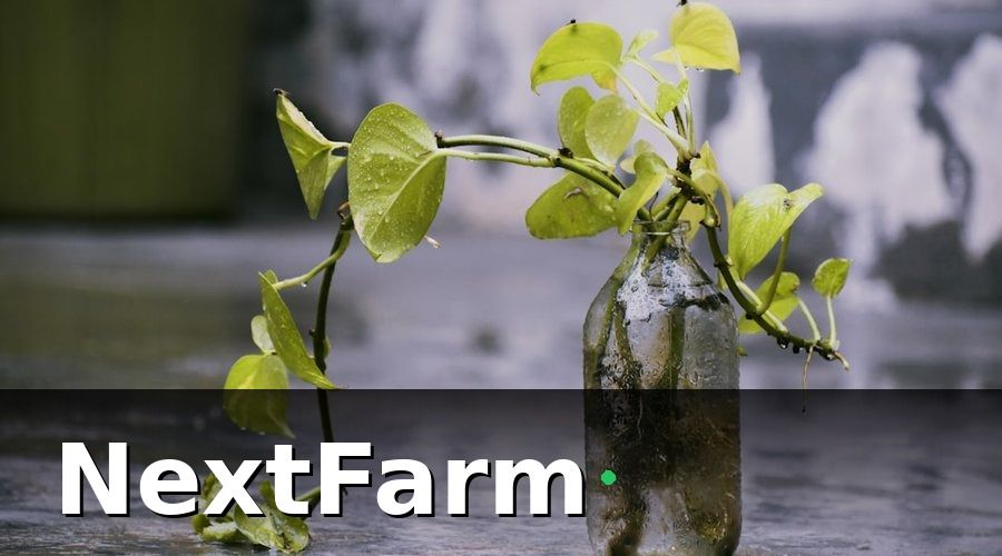NextFarm — Nhóm KPI dung dịch dinh dưỡng — nền tảng của thủy canh