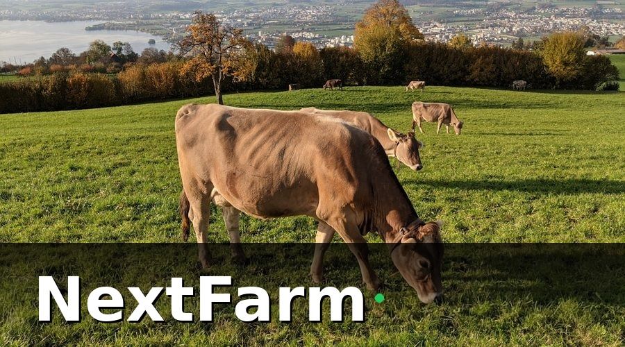 NextFarm — Nhóm 1 — KPI sản lượng và chất lượng sữa