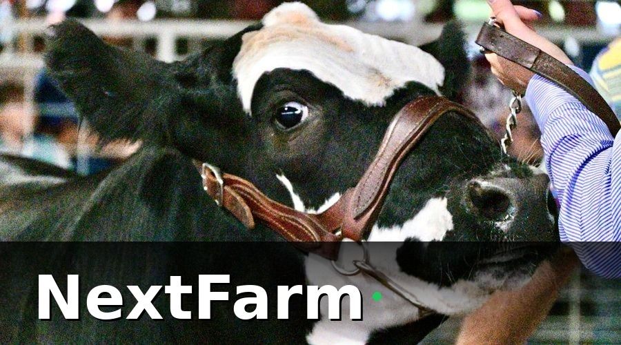 NextFarm — Nhóm 2 — KPI sức khỏe và sinh sản đàn bò