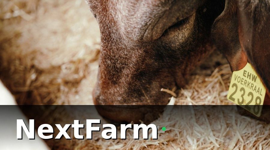 NextFarm — Nhóm 1: KPI sản xuất — theo dõi mỗi ngày hoặc mỗi tuần