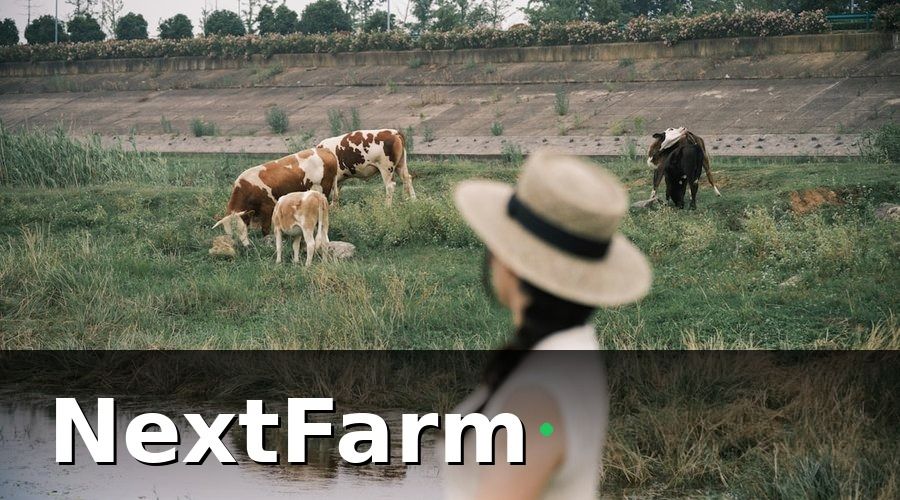 NextFarm — Nhóm 2: KPI sức khỏe đàn — phát hiện vấn đề trước khi bùng phát