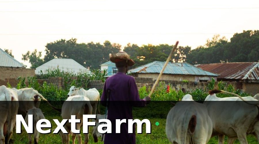 NextFarm — Nhóm KPI theo dõi hàng ngày