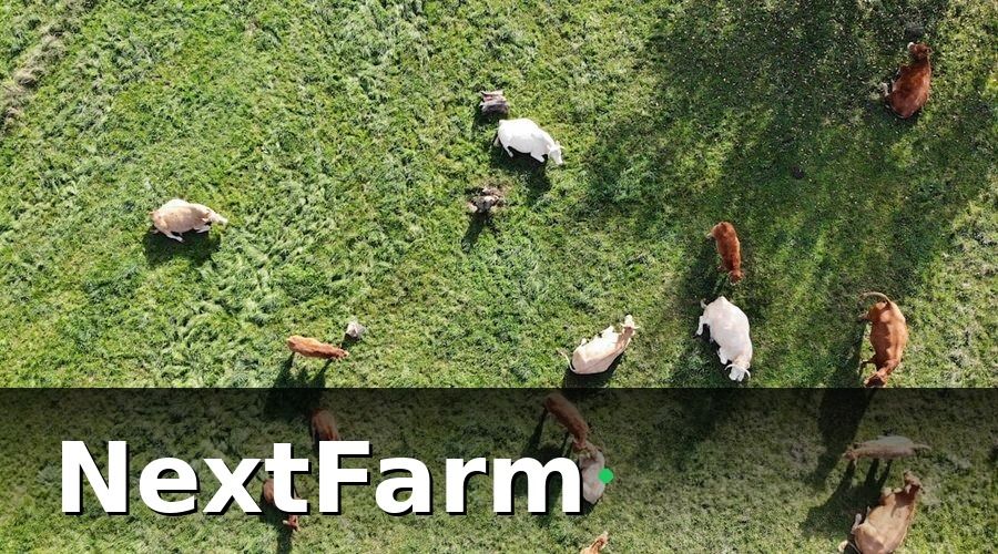 NextFarm — Cách xây dựng hệ thống theo dõi KPI hiệu quả cho trang trại vịt ngan