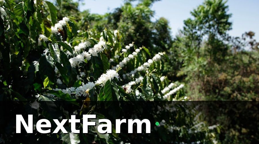 NextFarm — Nhóm KPI môi trường — nền tảng của mọi quyết định canh tác