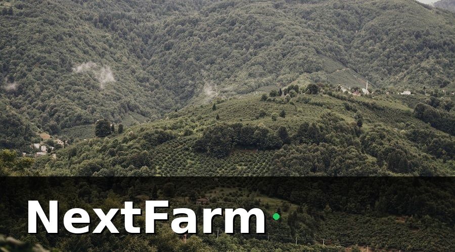 NextFarm — Nhóm KPI sinh trưởng cây — theo dõi theo giai đoạn