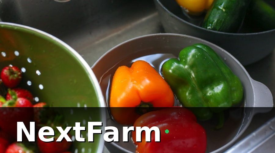 NextFarm — KPI vườn tiêu là gì và tại sao cần theo dõi hàng ngày?
