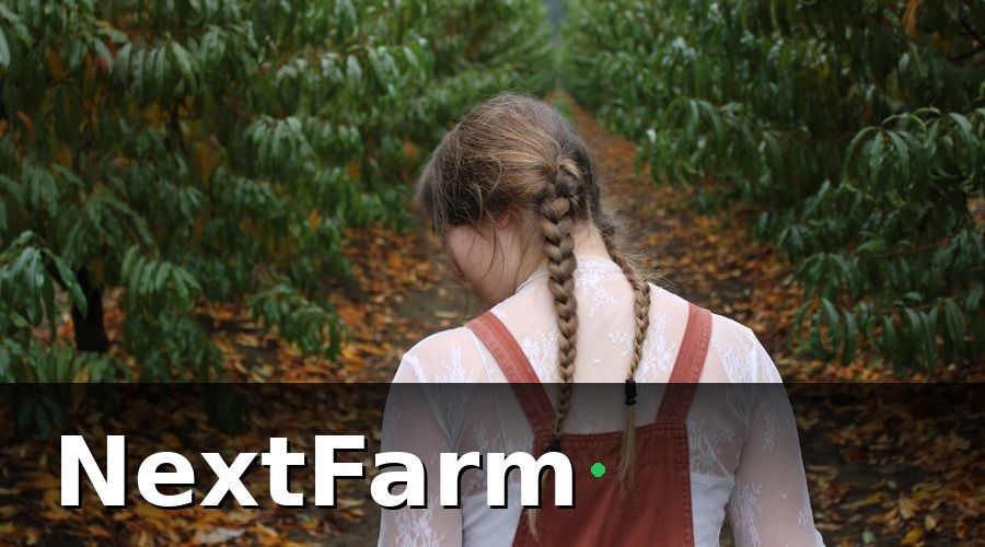 NextFarm — Các Phương Pháp Kỹ Thuật Ghép Cây Phổ Biến Nhất