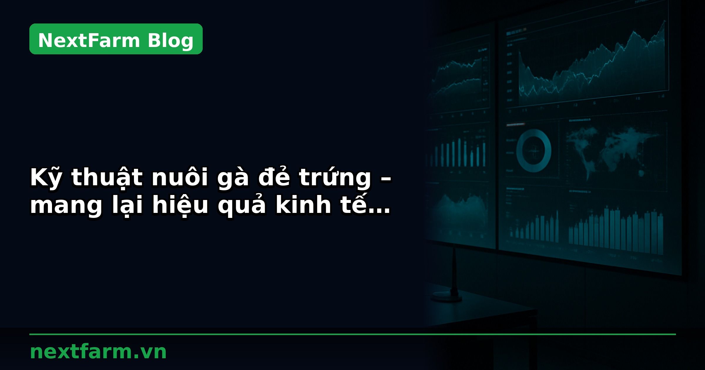 Kỹ thuật nuôi gà đẻ trứng – mang lại hiệu quả kinh tế cao