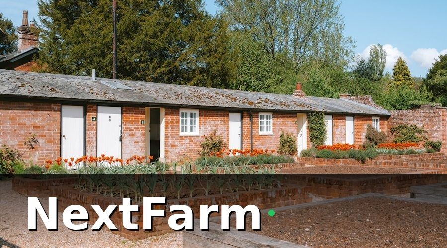 NextFarm — 1. Chuẩn Bị Đất Và Thiết Kế Vườn Bưởi