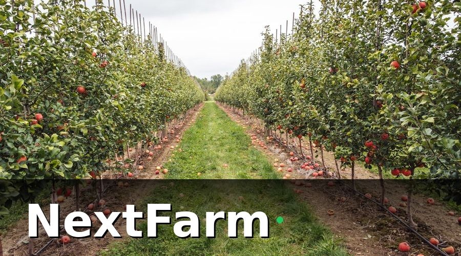 NextFarm — 3. Kỹ Thuật Tưới Nước Cho Bưởi
