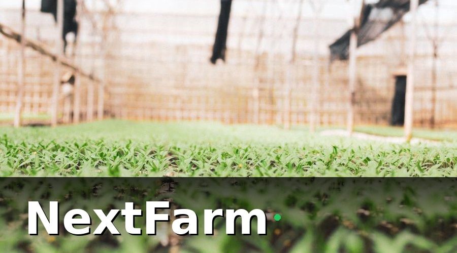 NextFarm — 1. Chọn Giống Và Chuẩn Bị Cây Con Cà Phê