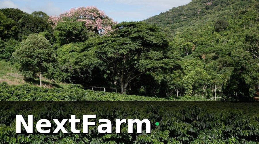 NextFarm — 2. Chuẩn Bị Đất Và Thiết Kế Vườn Cà Phê