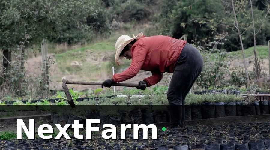 NextFarm — 3. Kỹ Thuật Trồng Cây Con Xuống Vườn