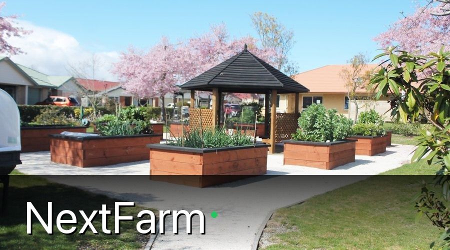 NextFarm — 2. Chọn Giống Và Chuẩn Bị Đất Trồng Hành Đúng Chuẩn