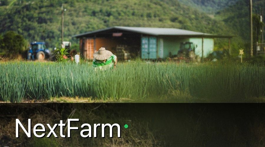 NextFarm — 3. Kỹ Thuật Trồng Và Chăm Sóc Hành Lá Theo VietGAP