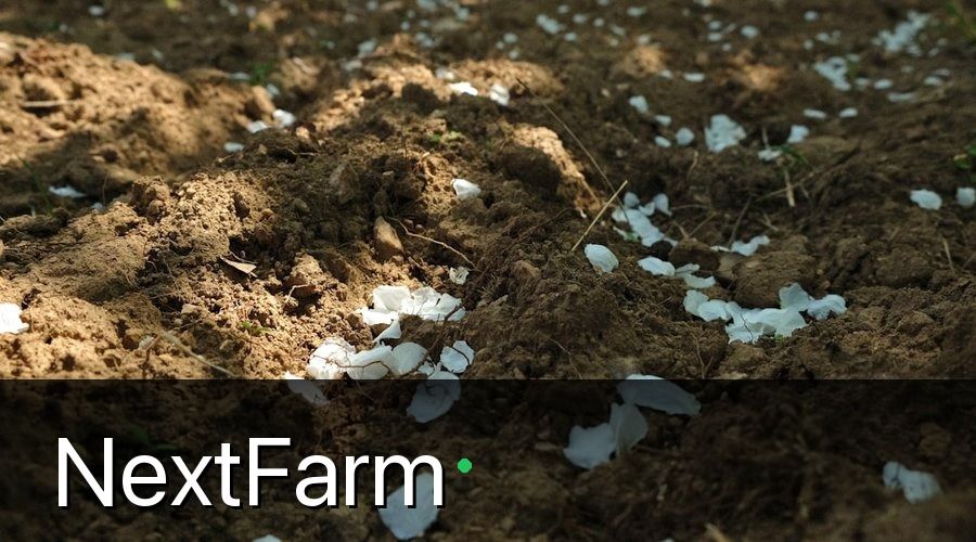 NextFarm — 2. Chuẩn Bị Đất Và Lên Luống Đúng Kỹ Thuật