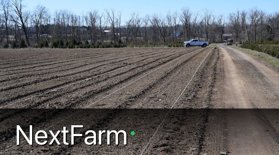 NextFarm — 2. Chuẩn Bị Đất Và Làm Giàn