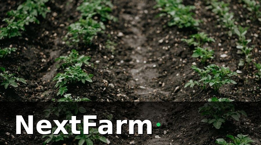 NextFarm — 2. Quy Trình Kỹ Thuật Trồng Rau Sạch VietGAP Từng Bước